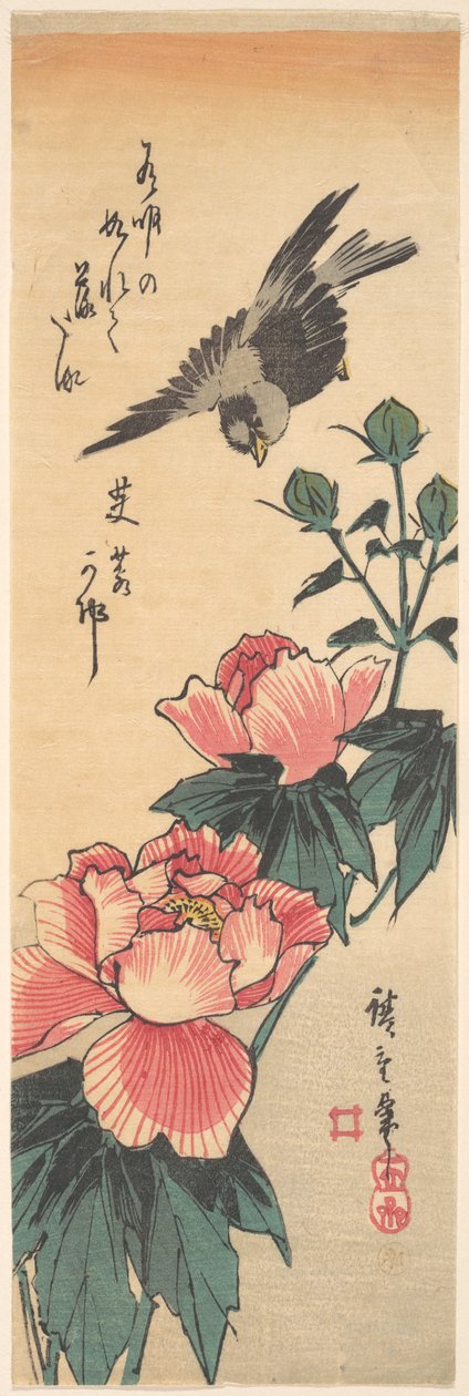 Spatz und Hibiskus von Utagawa Hiroshige