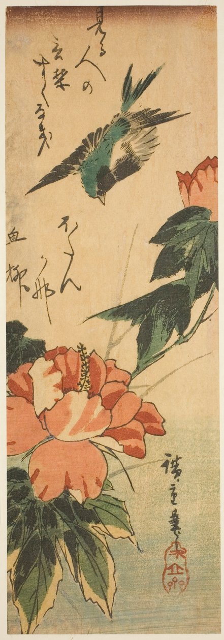 Schwalbe und Hibiskus von Utagawa Hiroshige