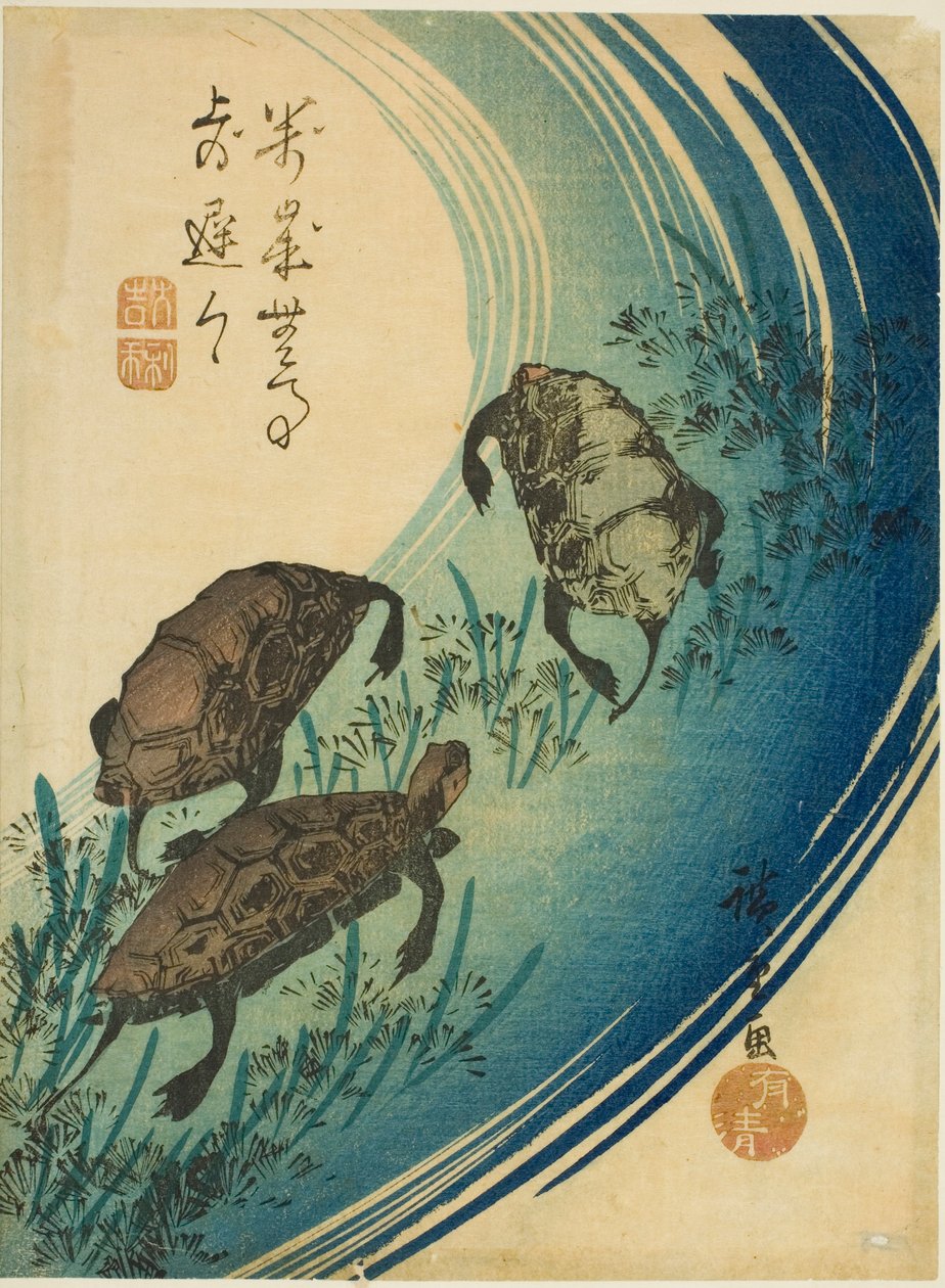 Schildkröten schwimmen in einem Bach von Utagawa Hiroshige