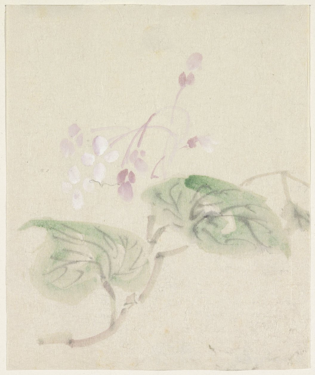 Rosa Wisteria von Utagawa Kuniyoshi