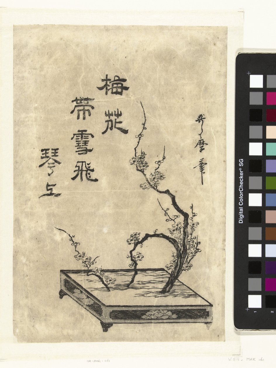 Pflaumenzweige von Utamaro (II) , Kitagawa (attributed to)