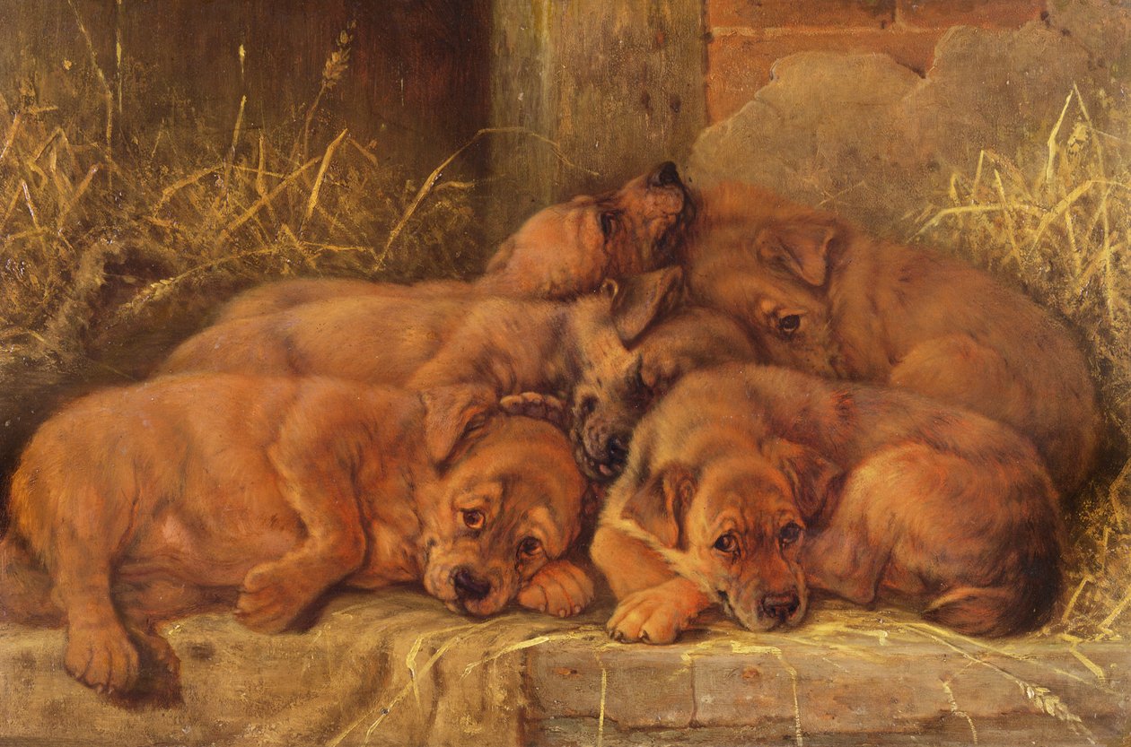 Welpenliebe von Valentine Thomas Garland