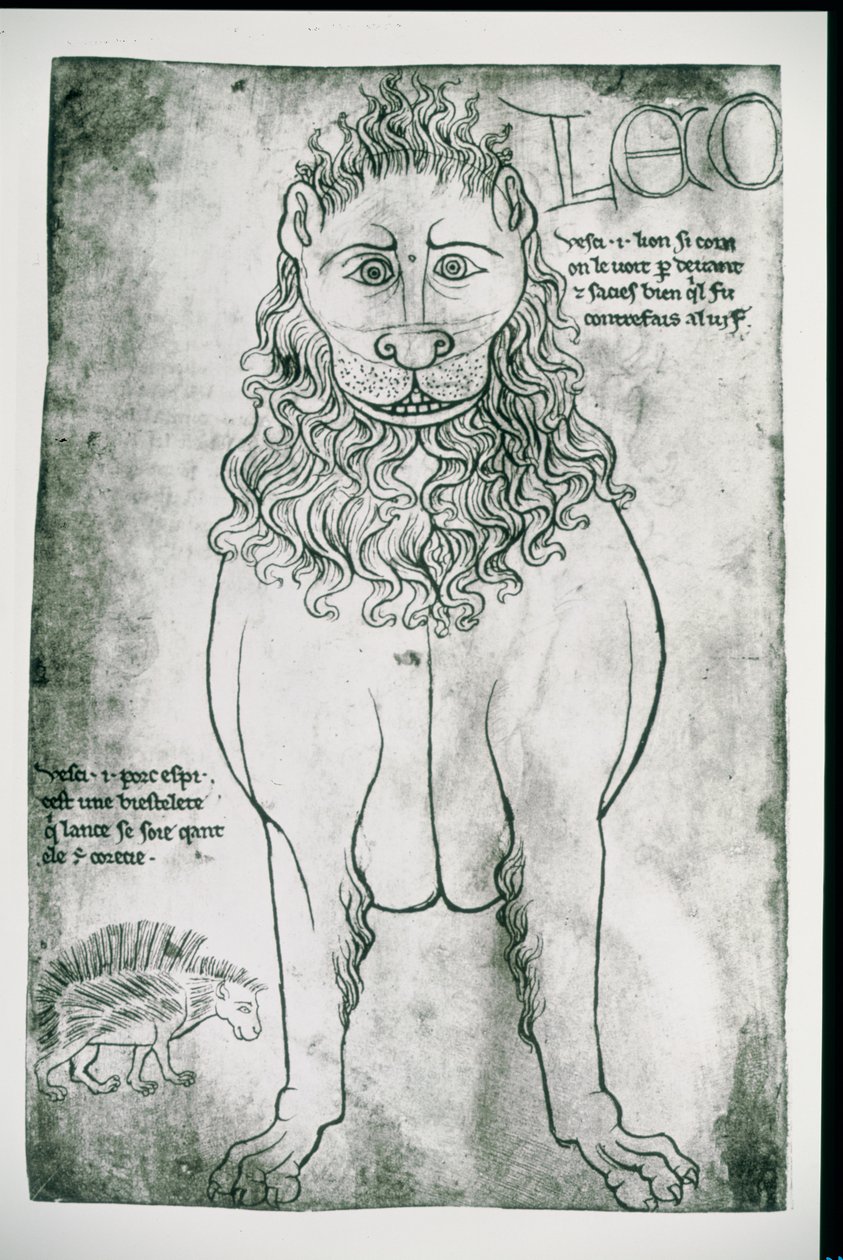 Löwe und Stachelschwein (Faksimile) von Villard de Honnecourt