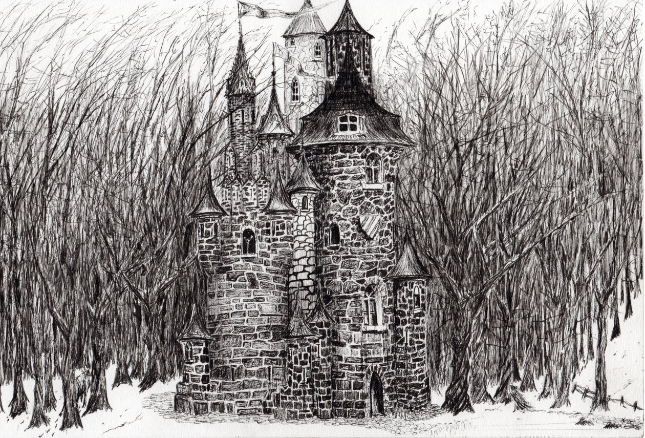 Das Schloss im Wald von Findhorn, 2006 von Vincent Alexander Booth