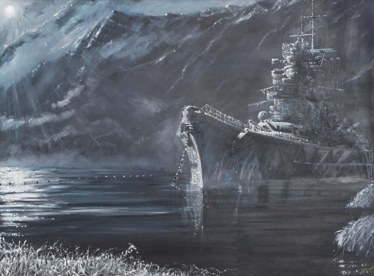 Tirpitz Die einsame Königin des Nordens 1944, 2007 von Vincent Alexander Booth