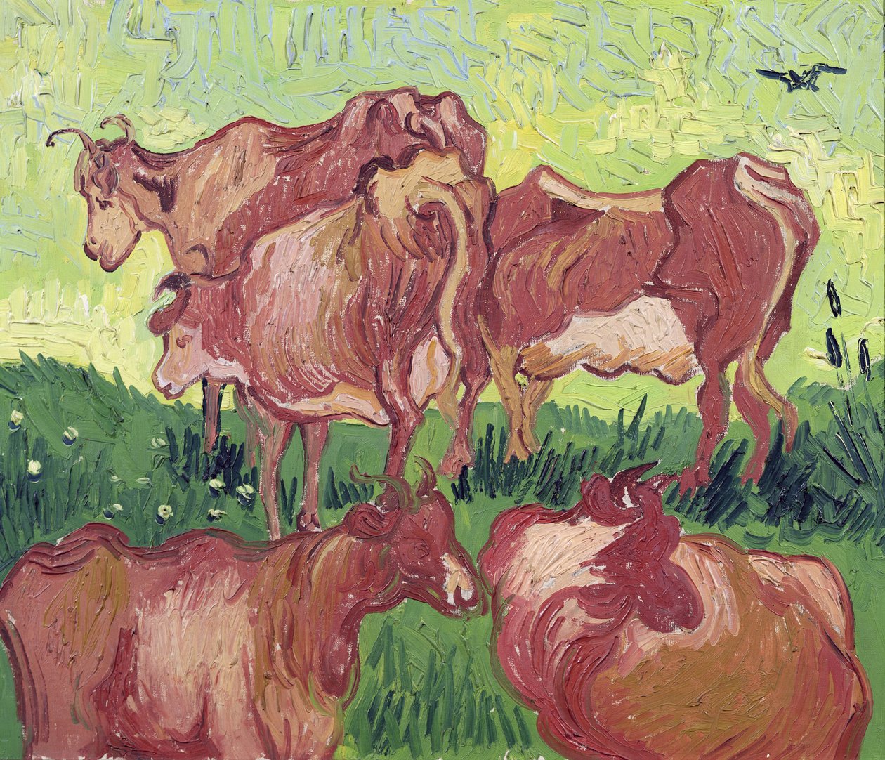 Kühe, 1890 von Vincent van Gogh