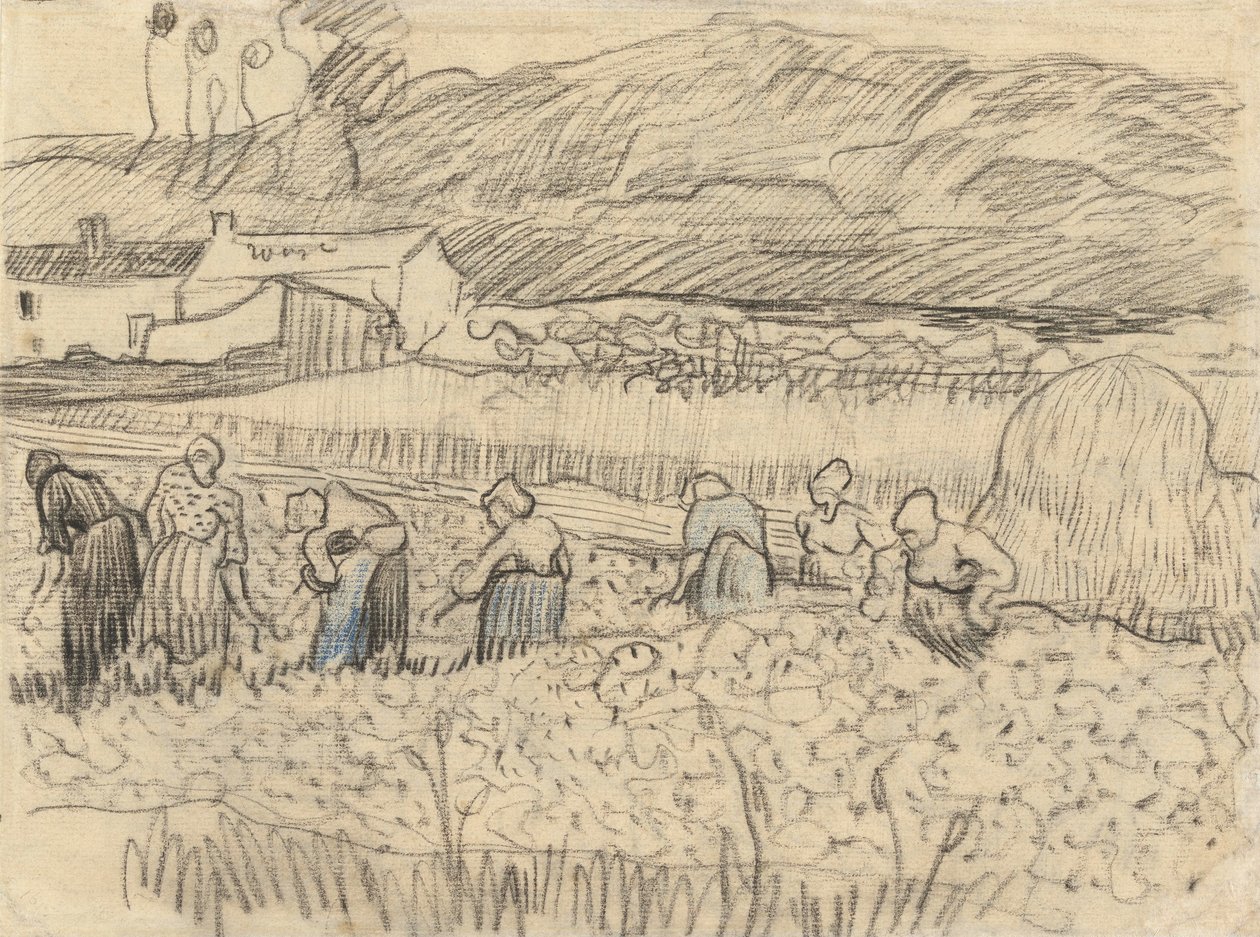 Landschaft mit erntenden Bäuerinnen von Vincent van Gogh