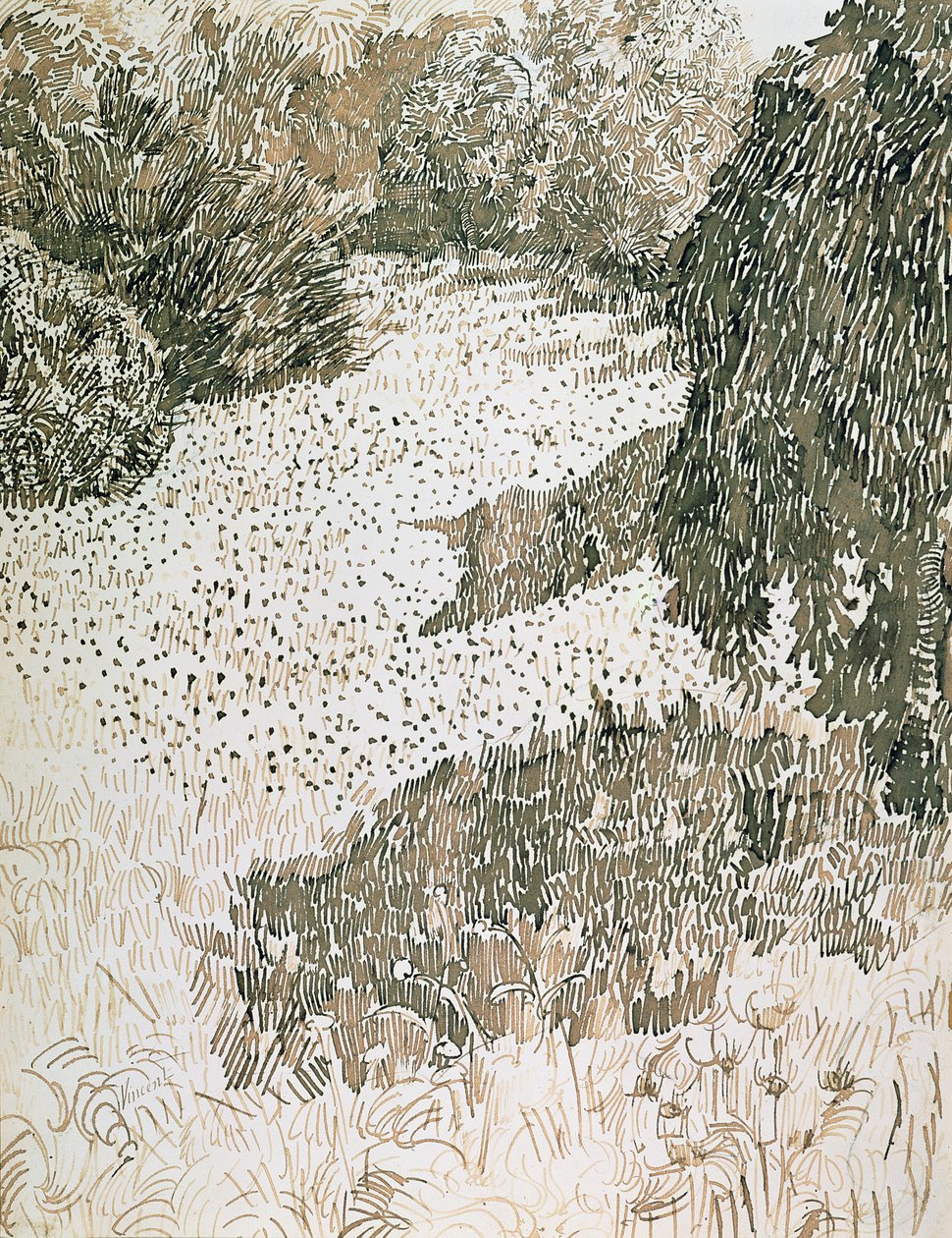 Die Ecke des Parks, 1888 von Vincent van Gogh
