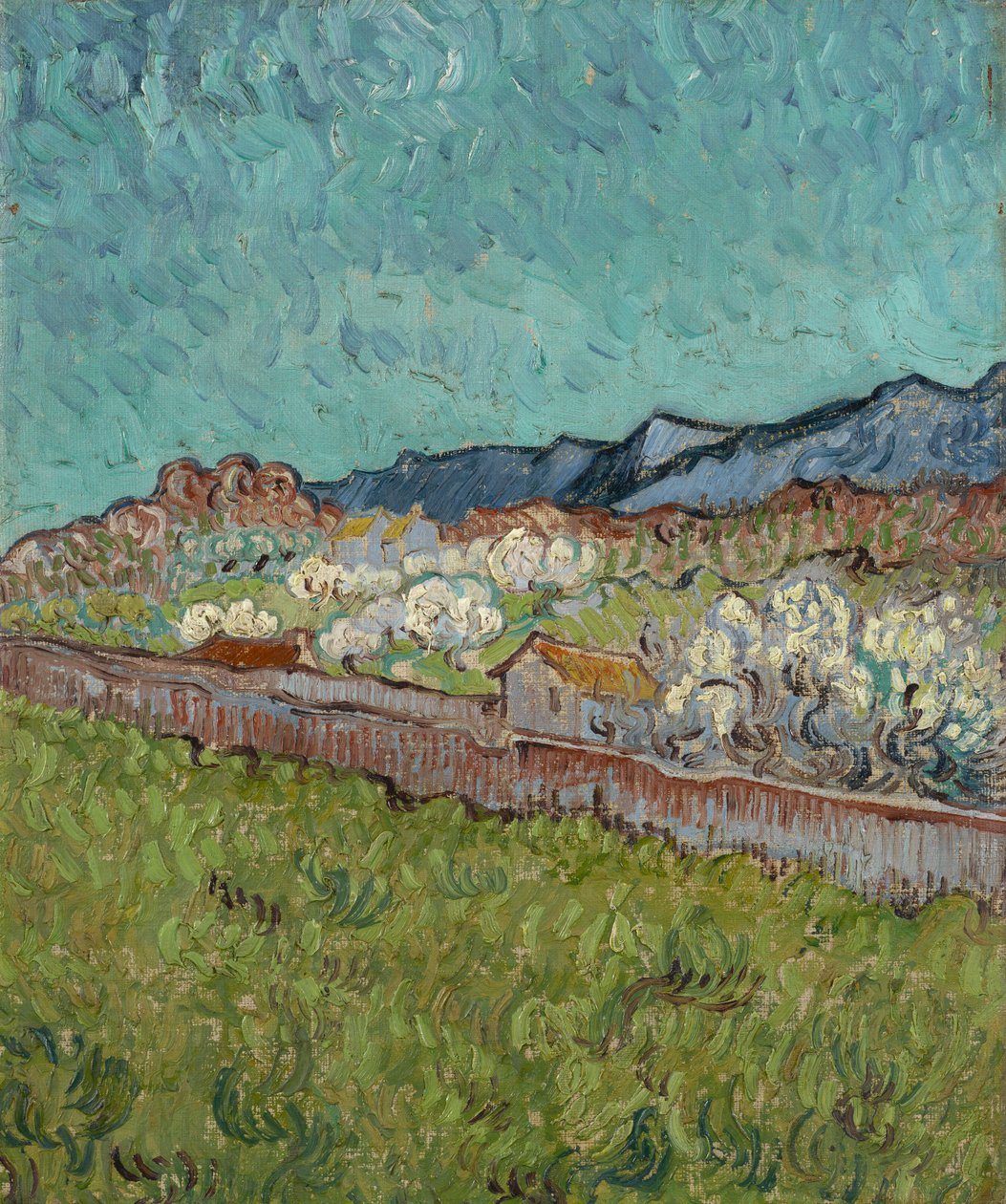 Blick auf die Alpilles von Vincent van Gogh