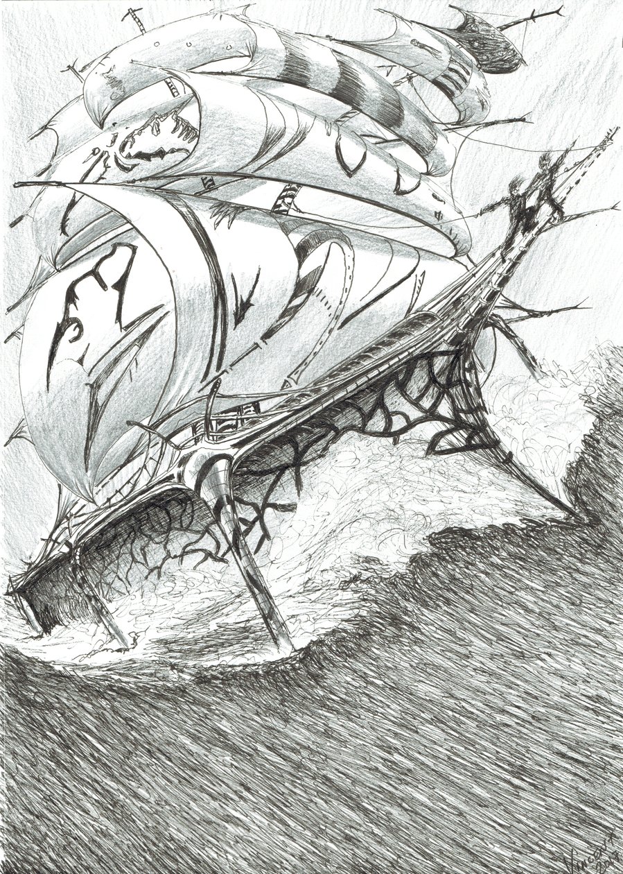 Sturmerschaffer Arafurasee von Vincent Alexander Booth