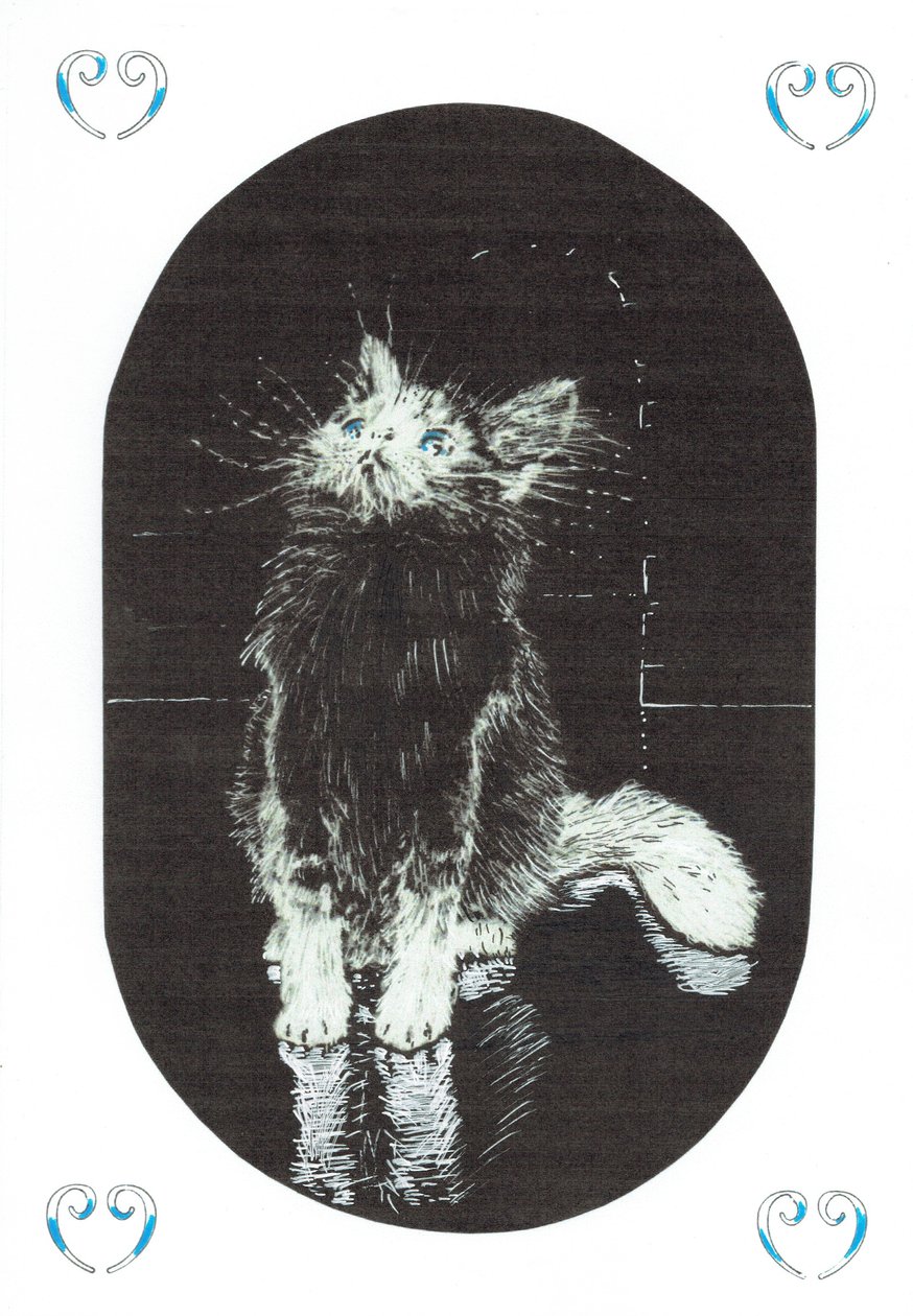 Seite 1, Das Schloss im Wald von Findhorn, 2006 von Vincent Alexander Booth
