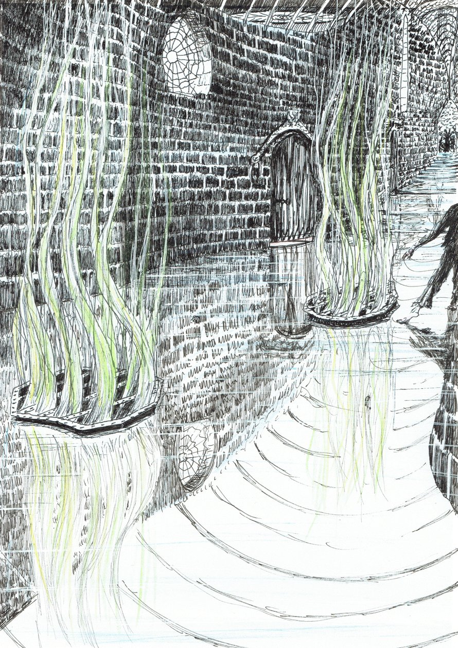 Seite 29, Das Schloss im Wald von Findhorn, 2006 von Vincent Alexander Booth