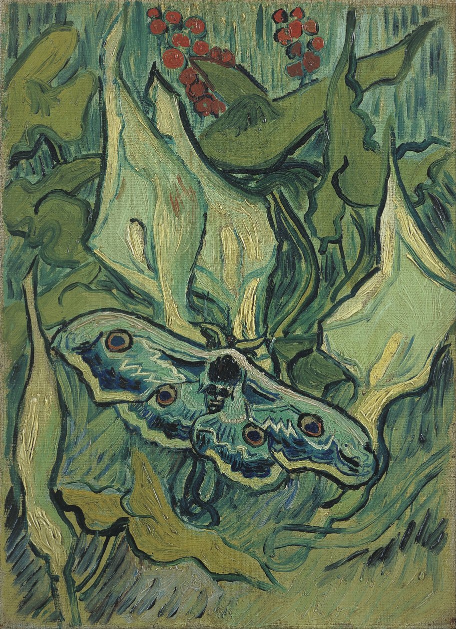 Kleines Nachtpfauenauge von Vincent van Gogh