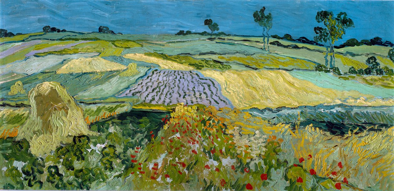 Felder bei Auvers von Vincent van Gogh