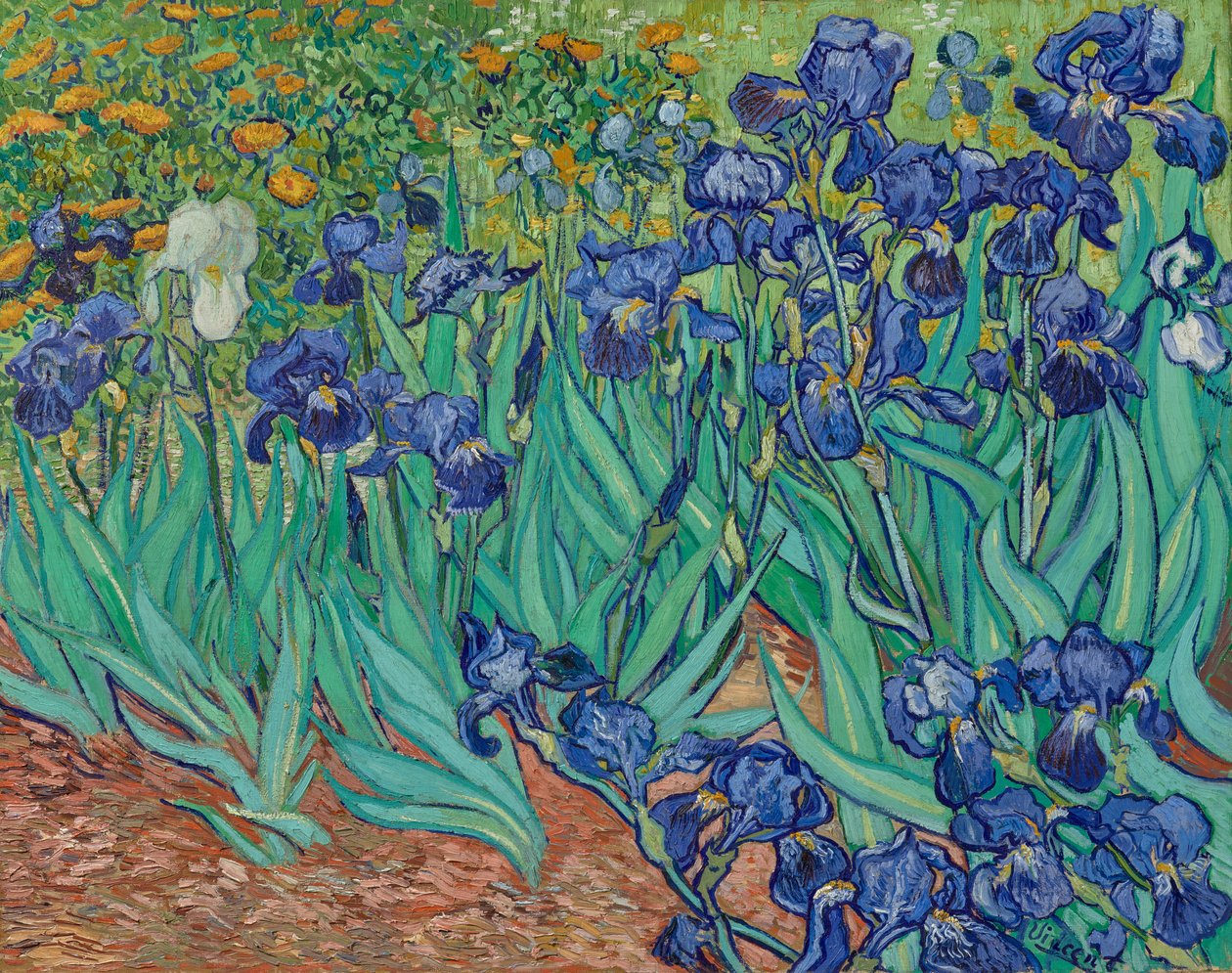 Schwertlilien von Vincent van Gogh