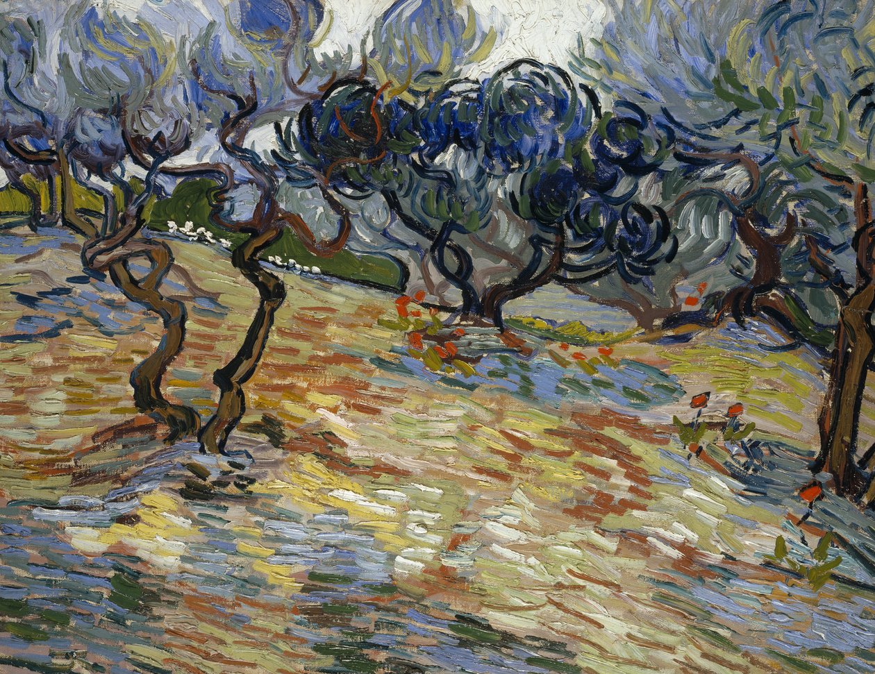 Olivenbäume: Heller blauer Himmel von Vincent van Gogh