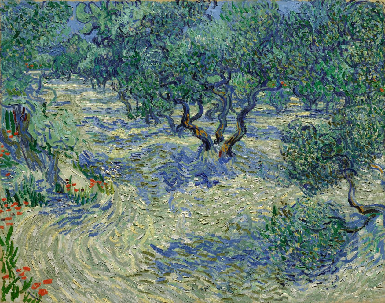 Olivenbäume von Vincent van Gogh