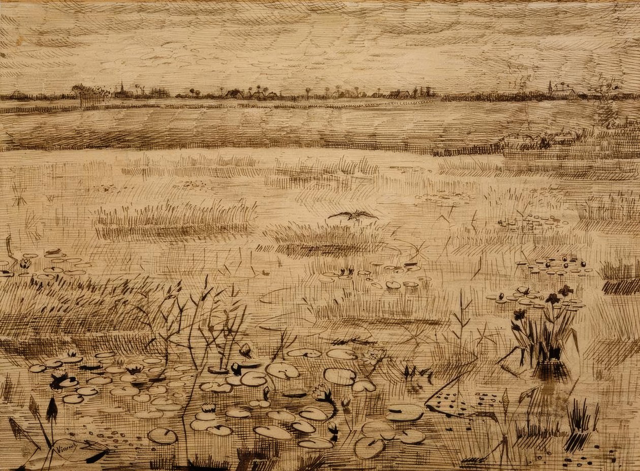 Sumpflandschaft mit Wasserlilien von Vincent van Gogh