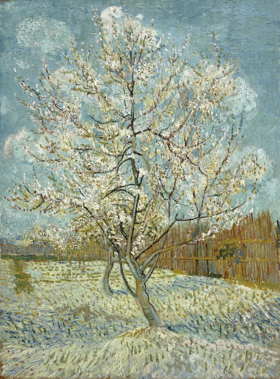 Der rosa Pfirsichbaum von Vincent van Gogh