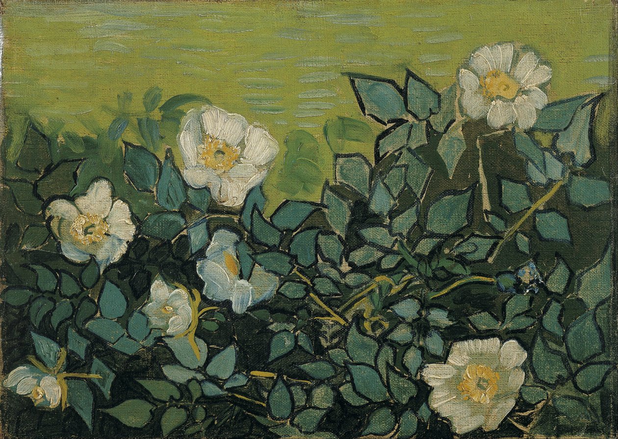 Wildrosen von Vincent van Gogh