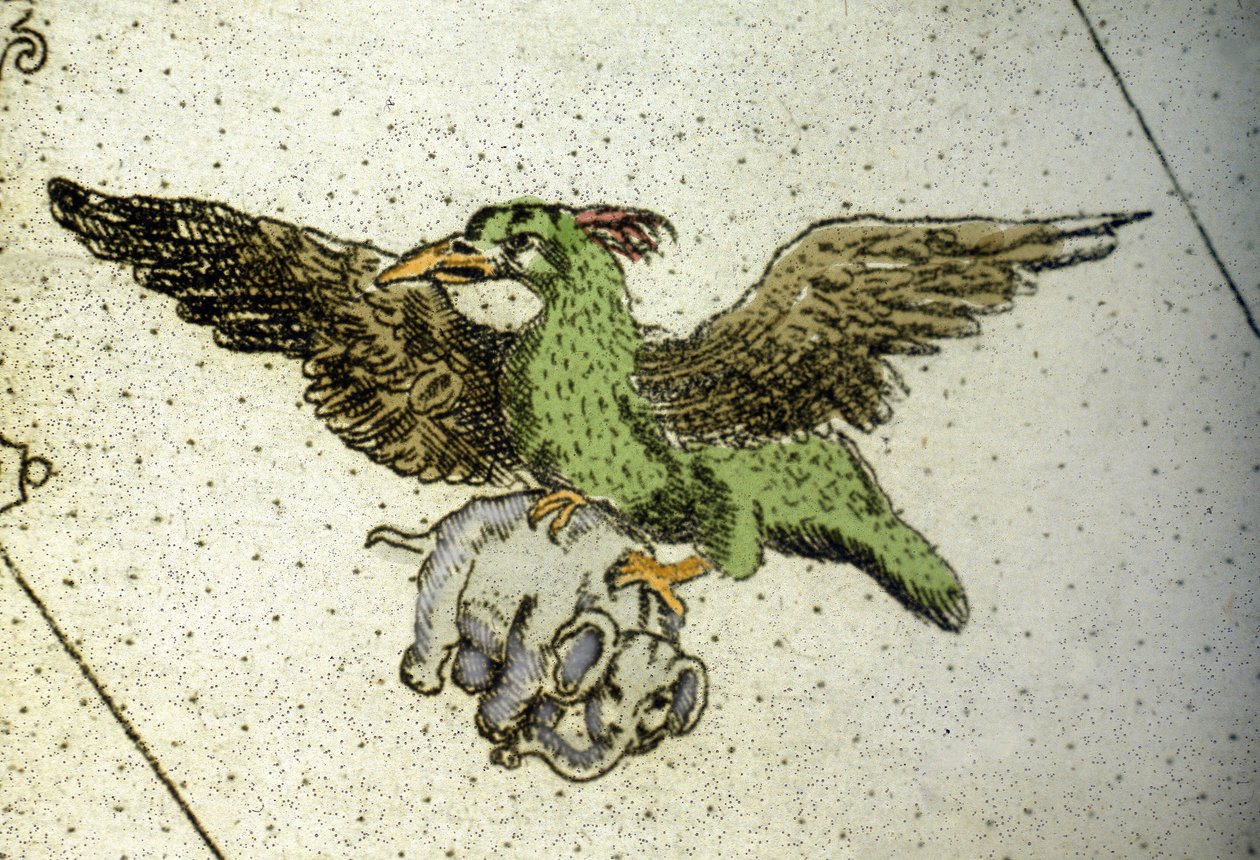 Der riesige Vogel Rok trägt einen Elefanten zwischen seinen Krallen, um ihn seinen Jungen zu geben, Detail einer Weltkarte von Vincenzo Coronelli (1650-1718). 17. Jahrhundert von Vincenzo Maria Coronelli