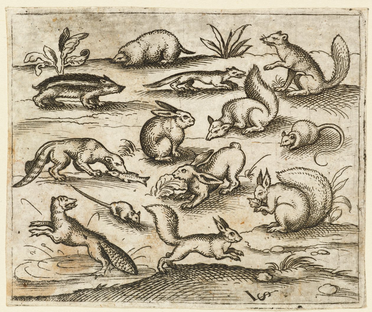 Gruppe kleiner Waldtiere, die um einen Teich essen und herumlaufen, einschließlich einer Maus, 1557 von Virgil Solis