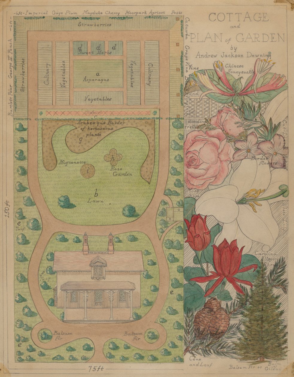 Grundriss für ein Cottage von Virginia Richards