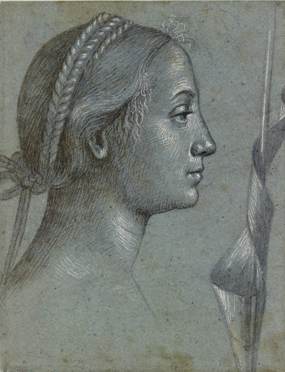 Kopf einer Frau mit einem um einen Pfahl gewickelten Wimpel von Vittore Carpaccio