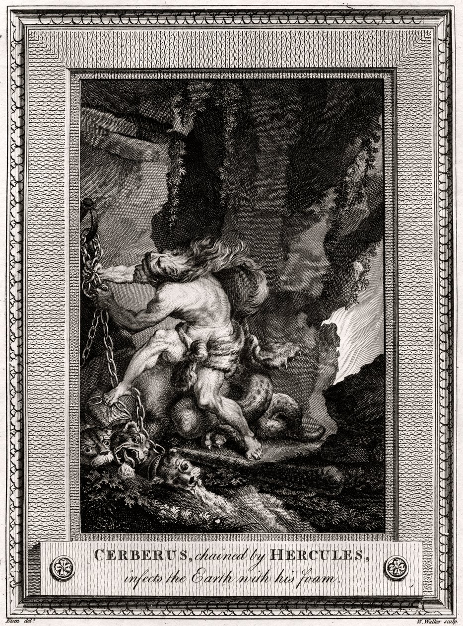 Cerberus, von Herkules angekettet, infiziert die Erde mit seinem Schaum, 1774 von W. Walker