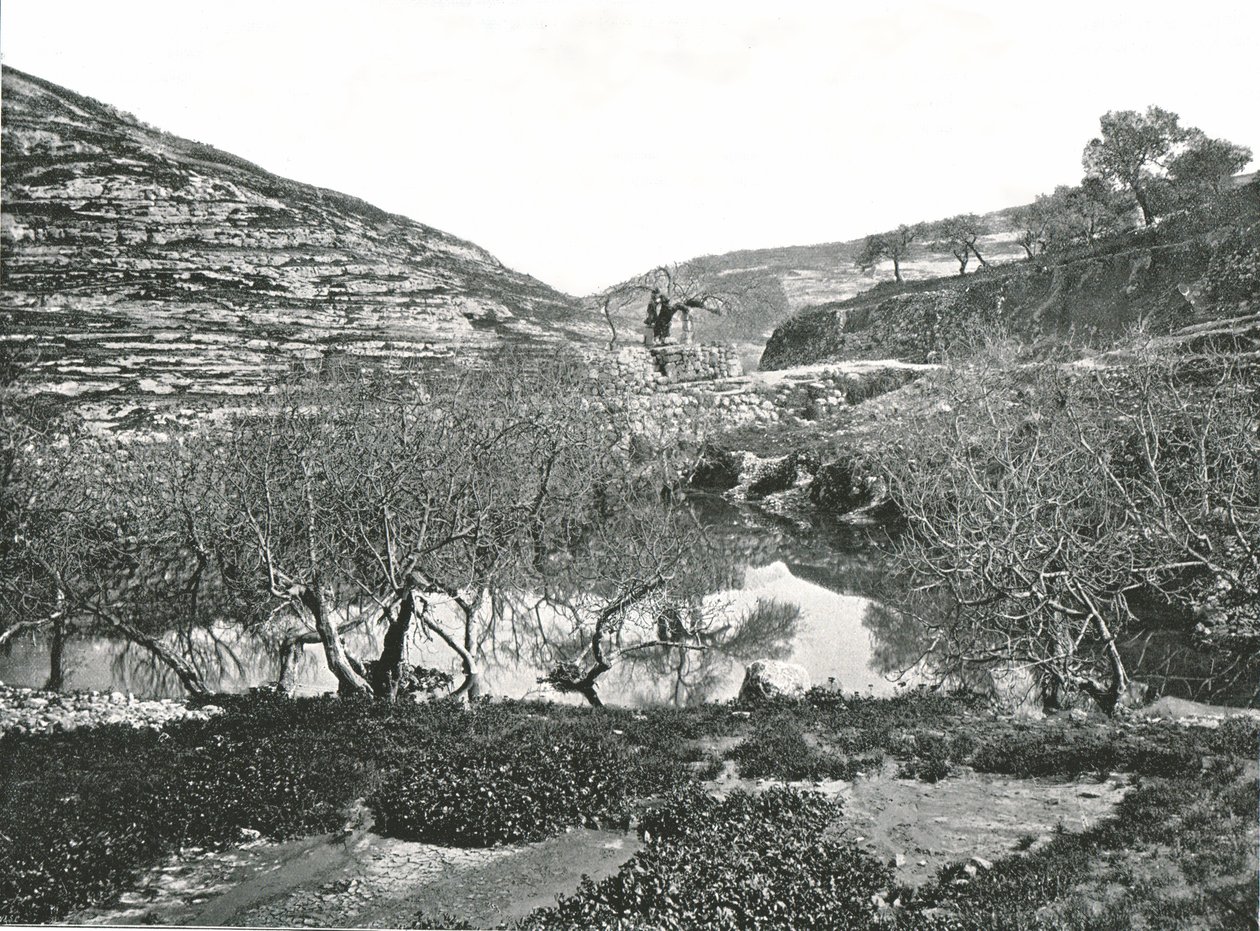 Der Teich von Siloah, Jerusalem, Palästina von W and S Ltd