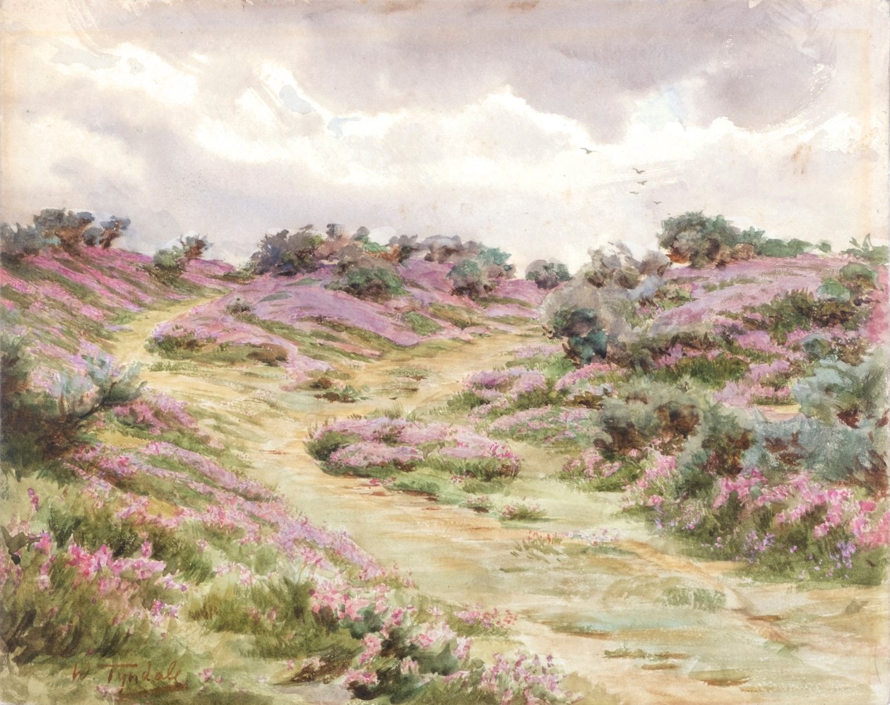 Glockenheide auf Setley Plain von Walter Frederick Roofe Tyndale