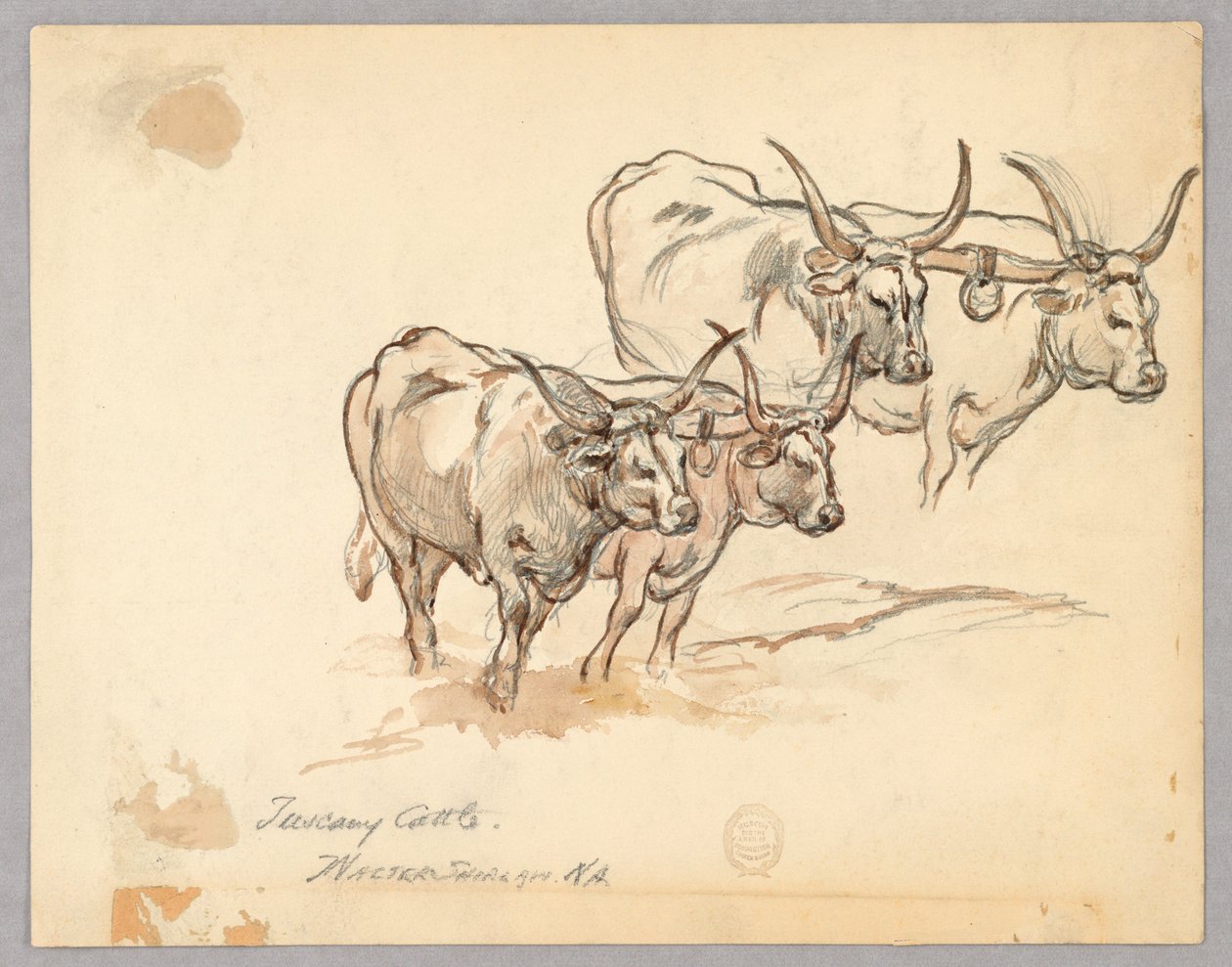Studie von Rindern in der Toskana von Walter Shirlaw