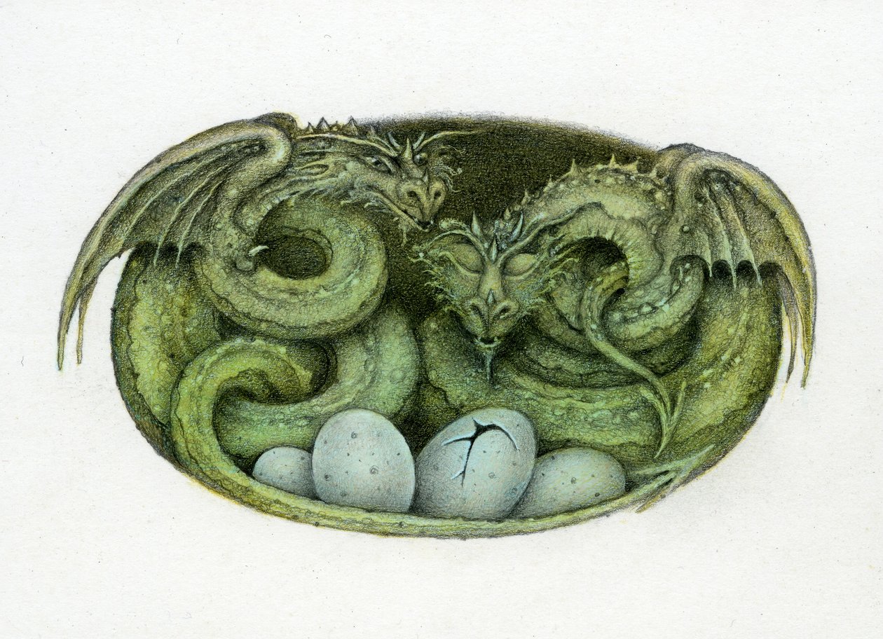 Amphisbaena von Wayne Anderson