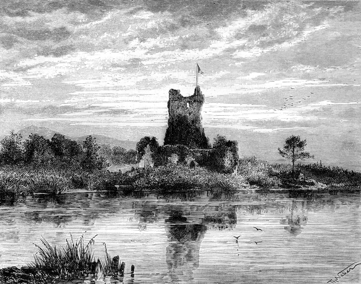 Ross Castle, County Kerry, Irland, 19. Jahrhundert von Weber