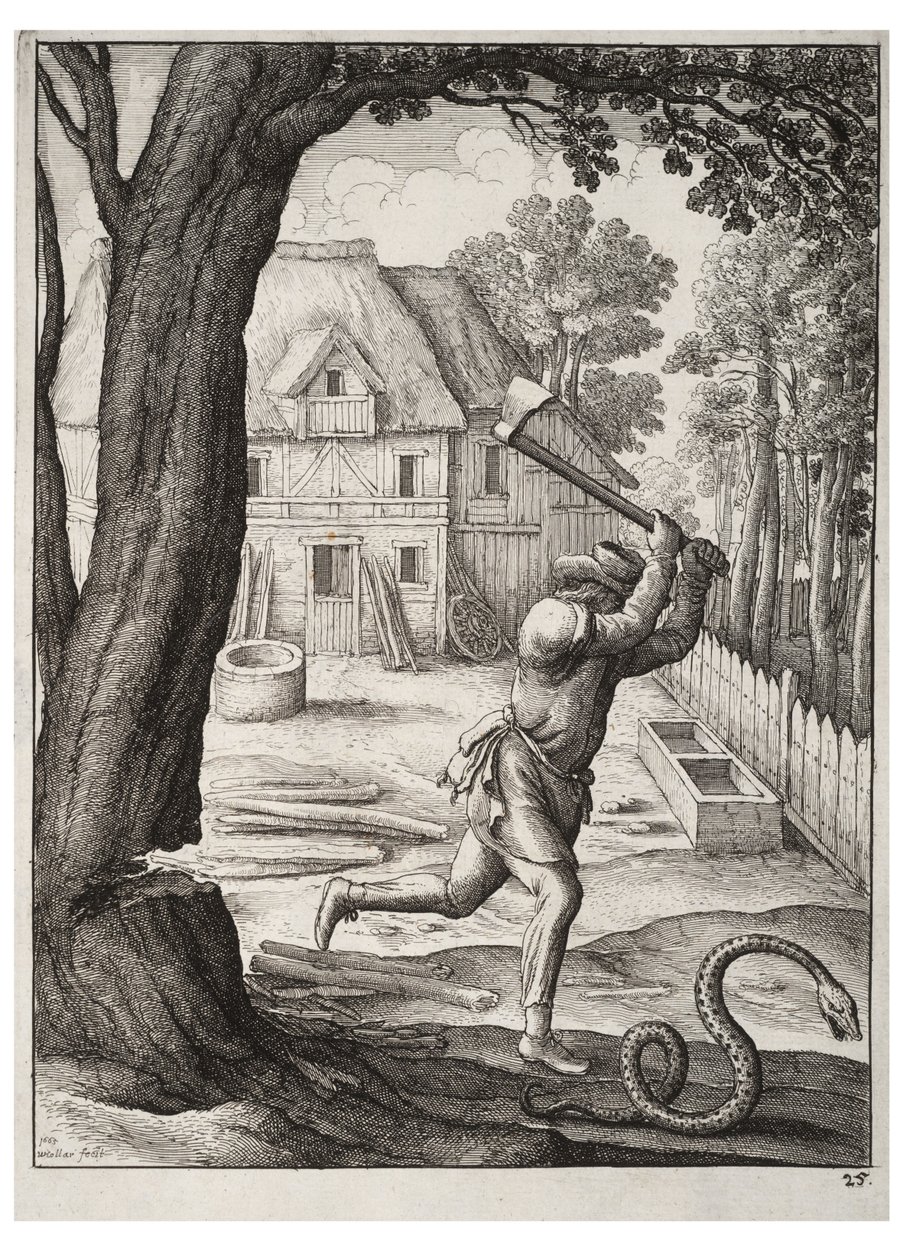 Der Bauer und die Schlange von Wenceslaus Hollar