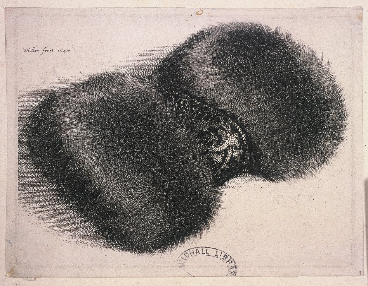 Ein großer Muff mit einem Brokatband, 1647 von Wenceslaus Hollar