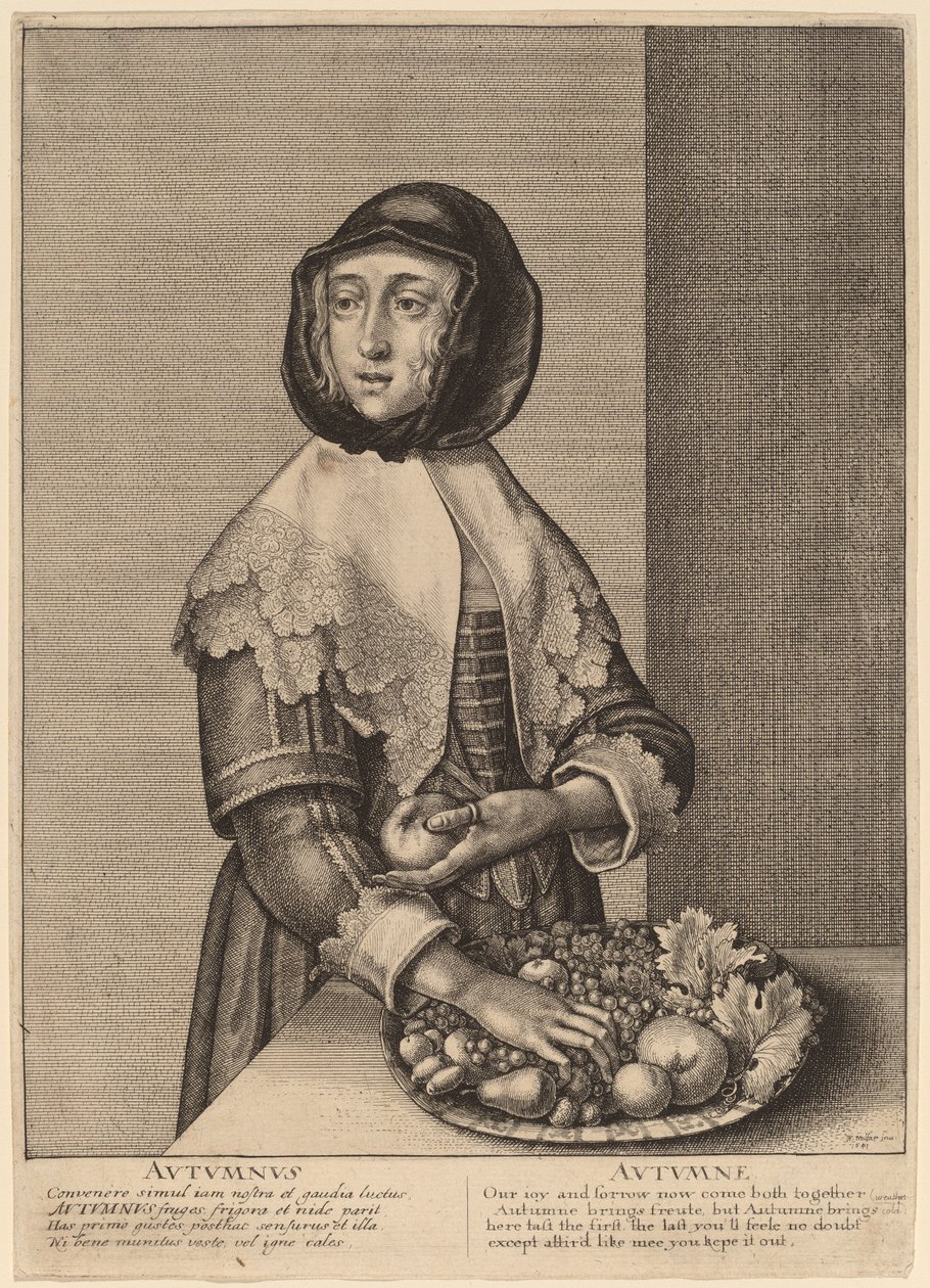 Herbst von Wenceslaus Hollar