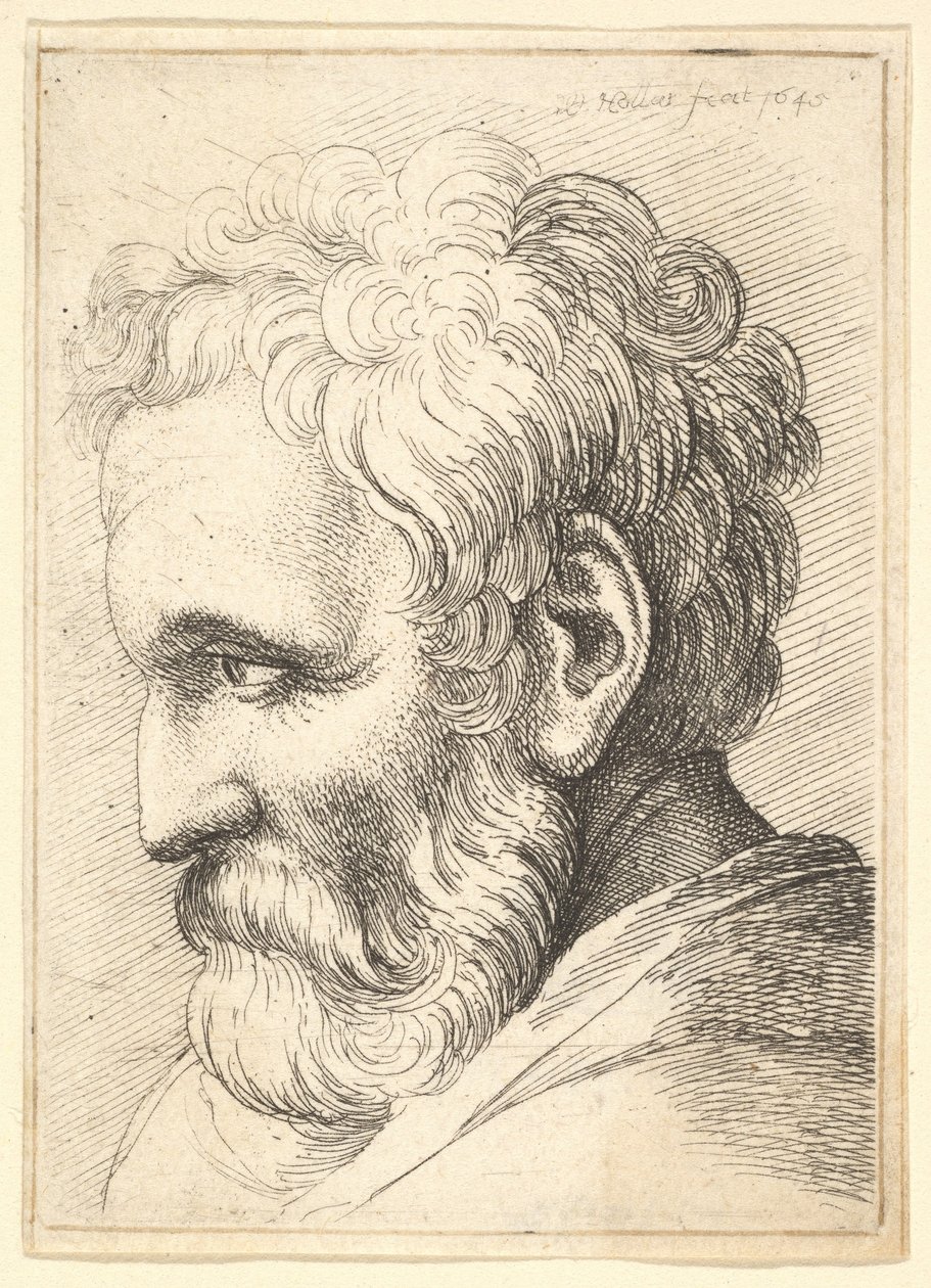 Bärtiger alter Mann von Wenceslaus Hollar