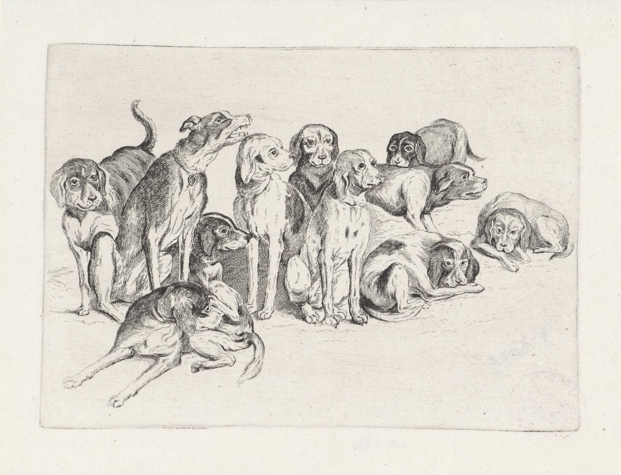 Elf Jagdhunde von Wenceslaus Hollar
