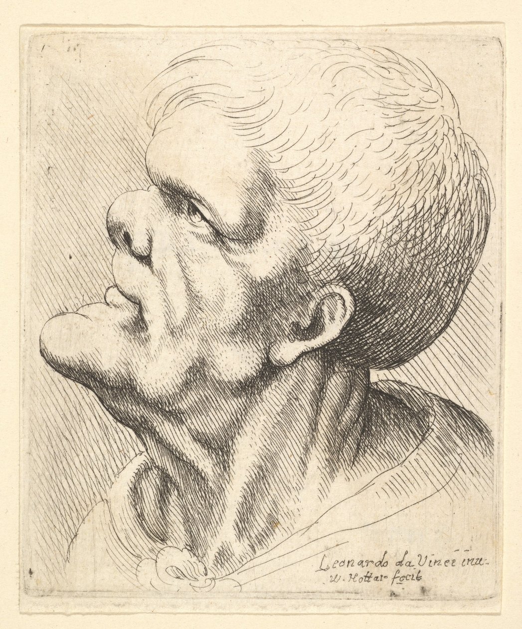 Kopf eines Mannes mit vorstehendem Kinn und Stupsnase, der nach oben links schaut, 1625-77 von Wenceslaus Hollar