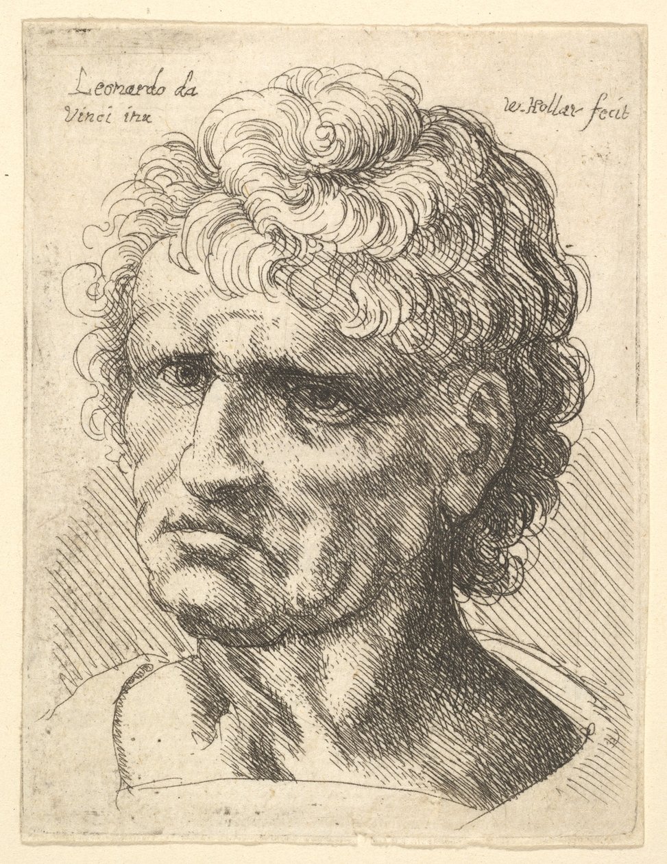 Kopf eines Mannes mit ernstem Ausdruck, 1625-77 von Wenceslaus Hollar