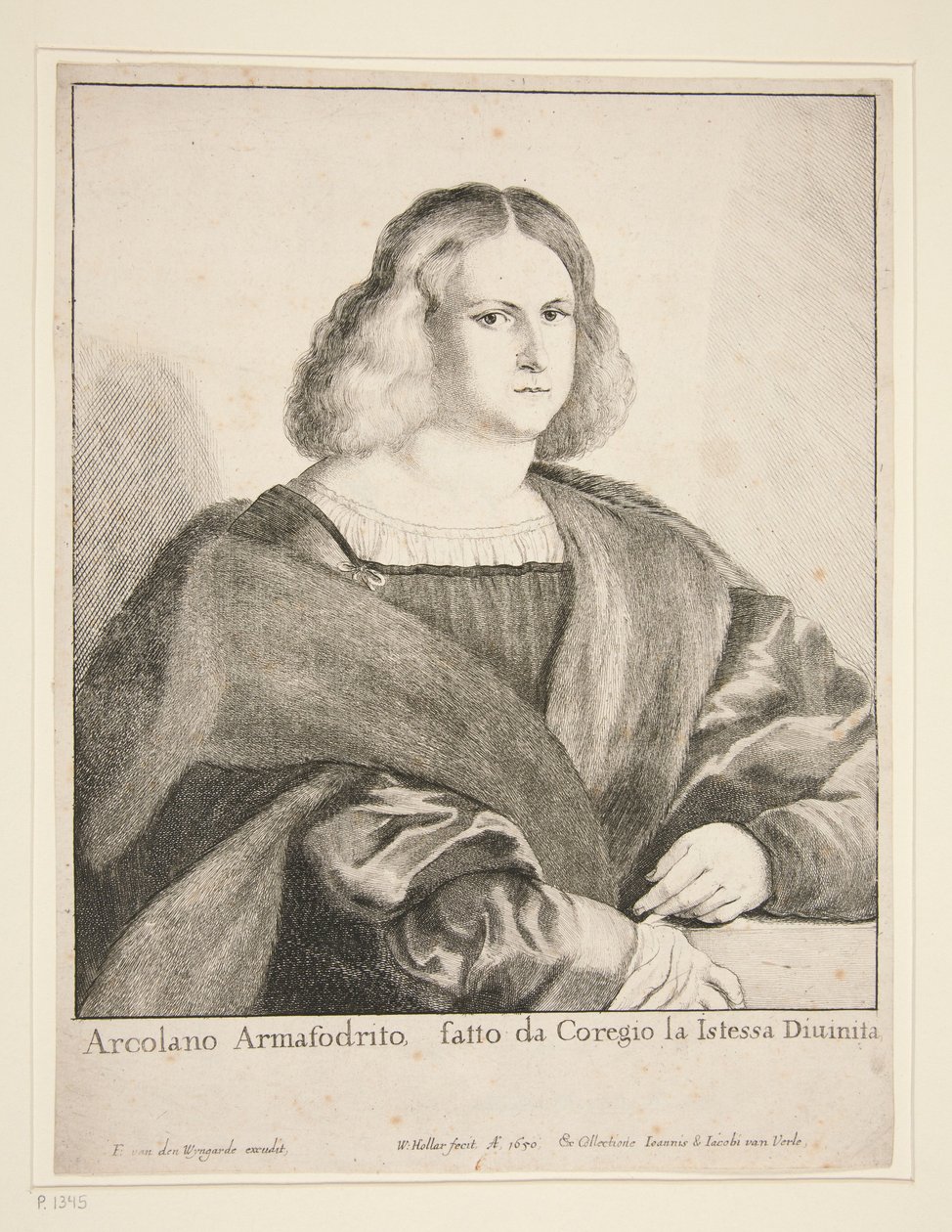 Porträt eines Mannes (Arcolano Armafodrito) von Wenceslaus Hollar