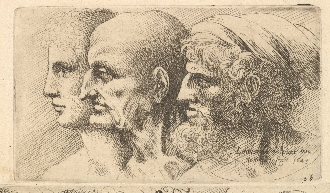 Reihe von drei Köpfen im Profil nach links, 1645 von Wenceslaus Hollar
