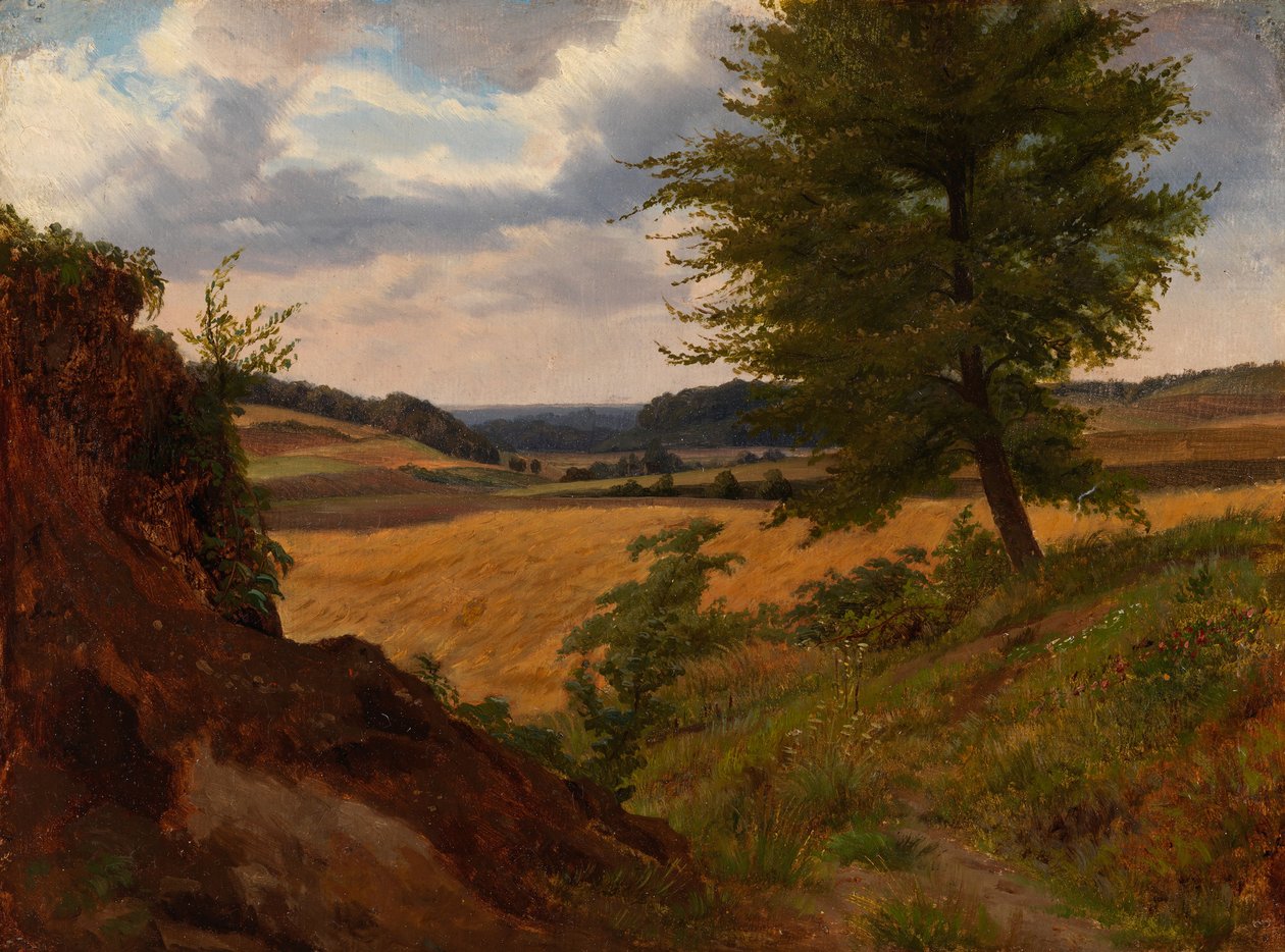 Baum in einer Feldlandschaft, Studie von Werner Holmberg