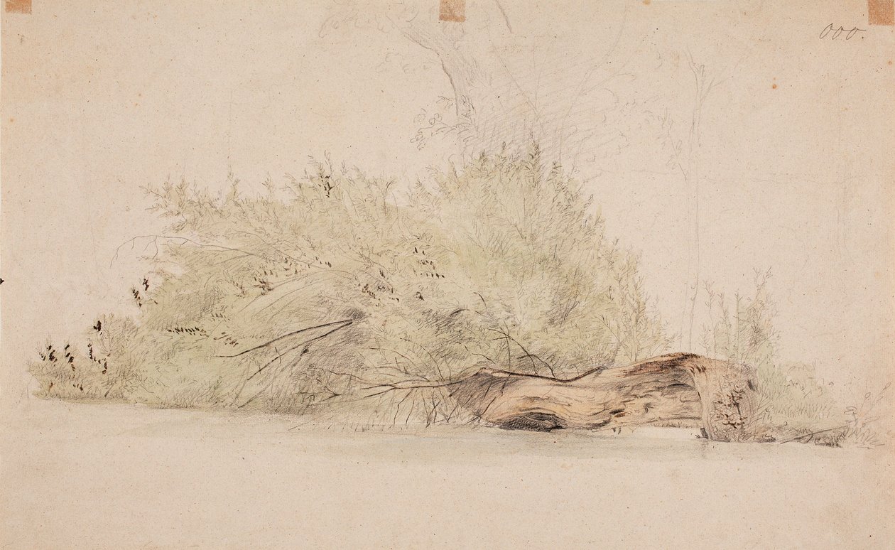 Ohne Titel von Werner Holmberg