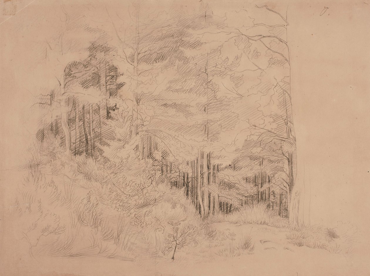 Ohne Titel von Werner Holmberg