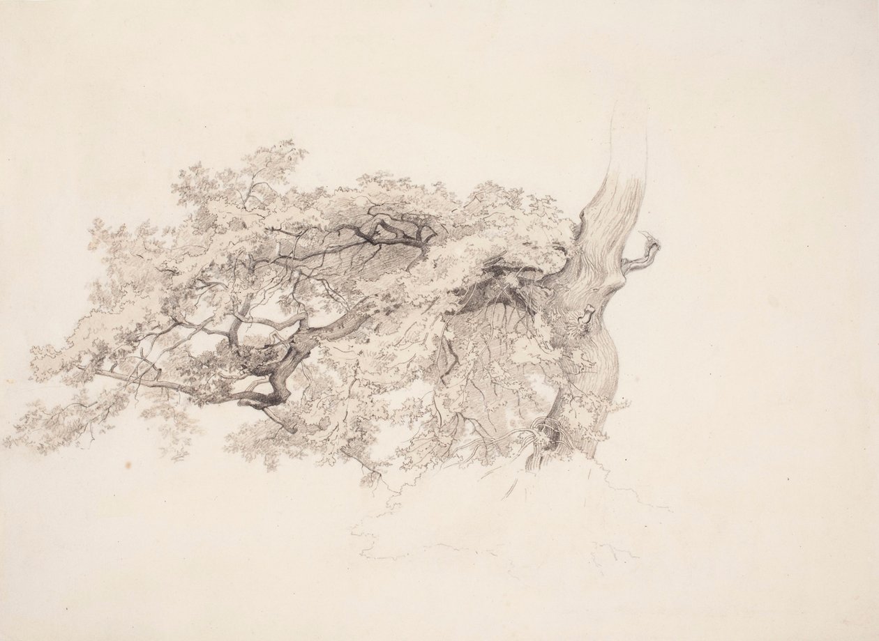 Ohne Titel von Werner Holmberg