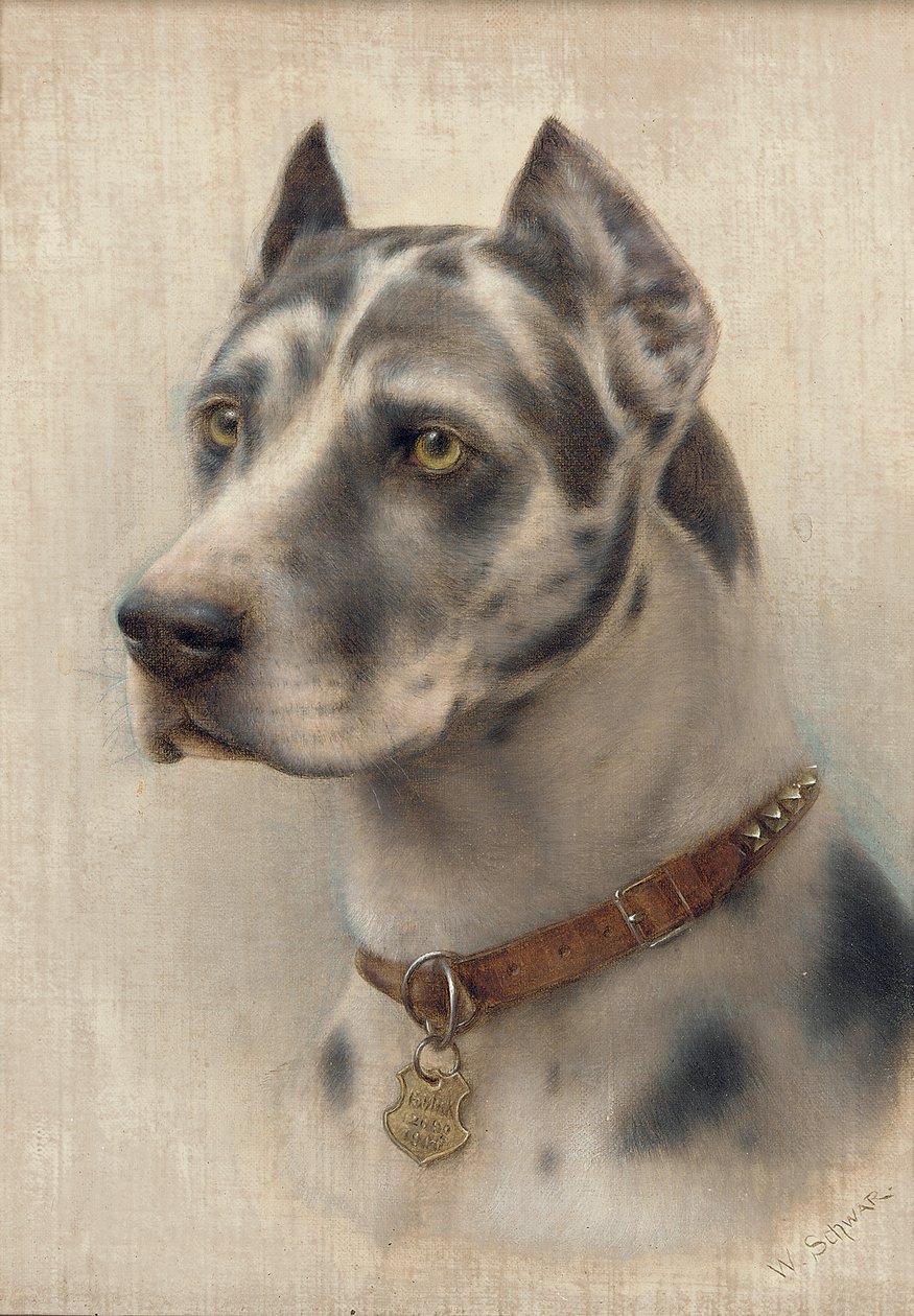Der Kopf eines Dobermanns von Wilhelm Schwar