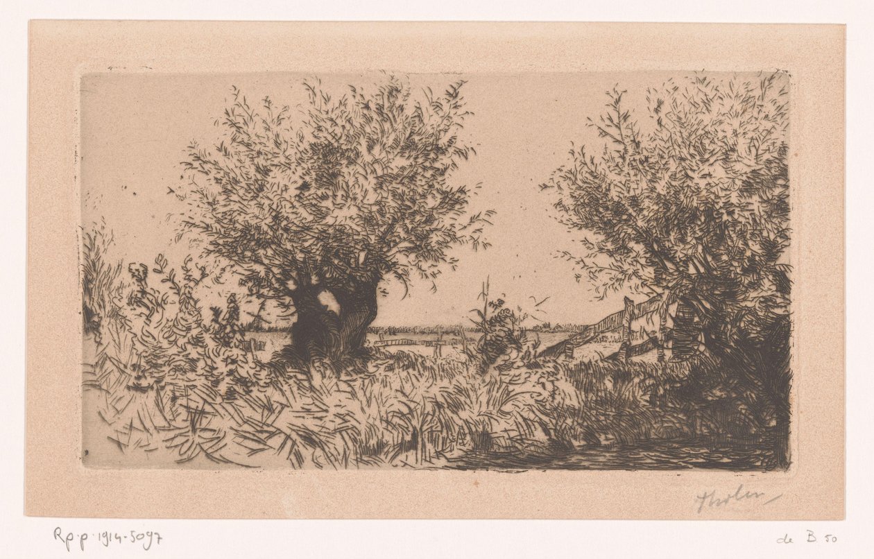 Landschaft mit Weide, Kopfweiden und Zaun (Wilgen (Kaag)) von Willem Bastiaan Tholen (signed by artist)