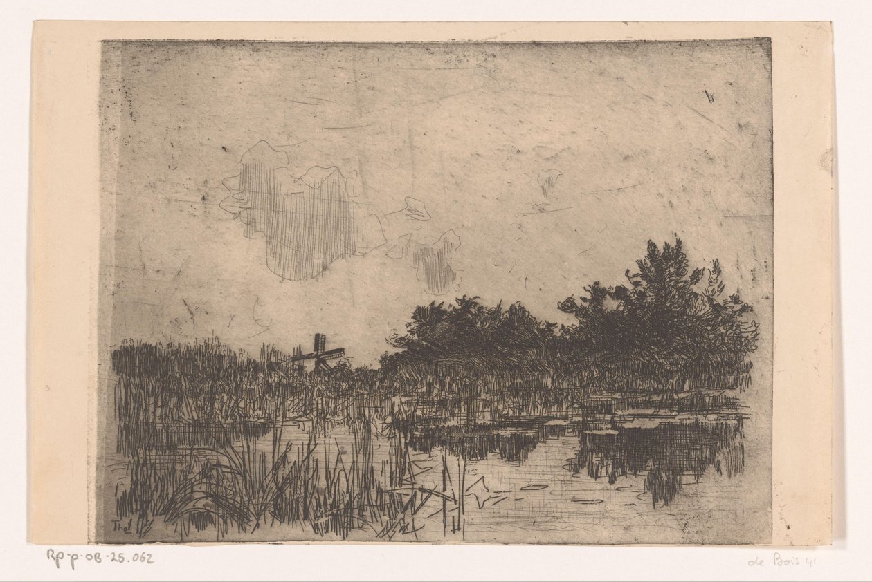 Teich mit Schilf und Windmühle bei Giethoorn von Willem Bastiaan Tholen